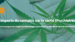 Impacts du cannabis sur la santé (Psychiatres)