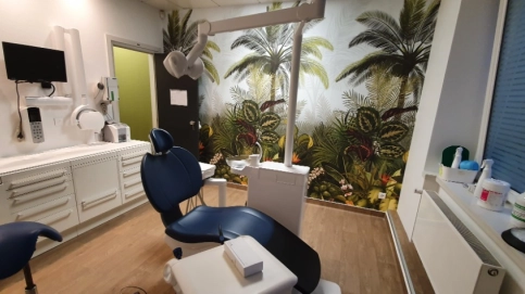 RECHERCHE CHIR. DENTISTE SALARIE(E) H/F EN CDD 4 MOIS POUR SAVERNE (67)