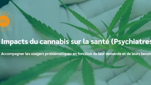 Impacts du cannabis sur la santé (Psychiatres)