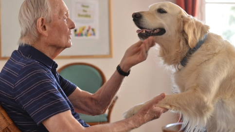 DSC_7493.JPG AFTAA - Thérapie Assistée par l'Animal