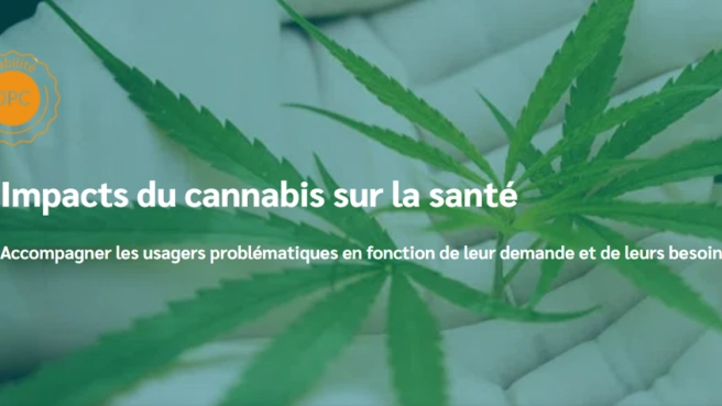 Impacts du cannabis sur la santé