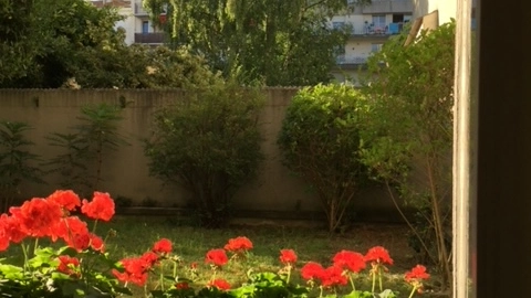 BUREAUX A LOUER AVEC PARKINGS, JARDIN et SOUPLEX.