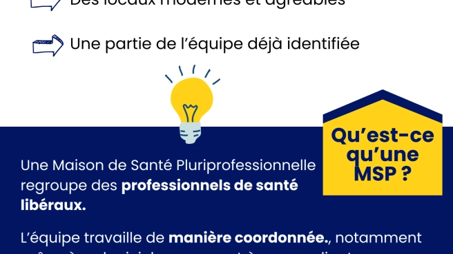 Projet de MSP à Antony